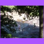 Playing On Rocks.jpg
